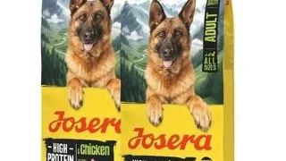 JOSERA High Protein Adult Chicken 2x12,5kg hrana bogata in energie pentru caini sportivi