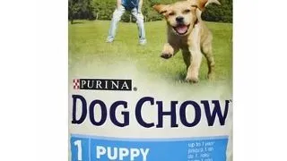 Purina Dog Chow puppy miel 14 kg