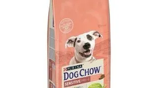 Purina Dog Chow Adult Sensitive hrana uscata caini adulti cu sistem digestiv sensibil, cu somon 14 kg