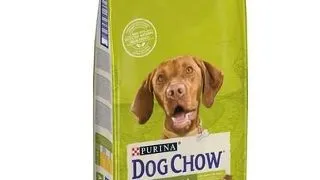 Purina Dog Chow Adult hrana uscata caini adulti, cu pui 14 kg