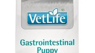 FARMINA Vet Life Gastrointestinal Puppy, Hrana uscata catei, pentru sistemul digestiv sensibil 2 kg