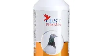 Supliment pentru porumbei, Amino Forte, Cest Pharma 1000ml