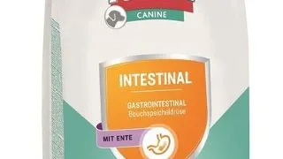 RINTI Canine Intestinal Duck cu rata 1 kg hrana veterinara pentru caini