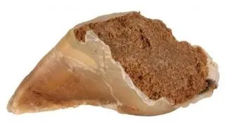TRIXIE Copita umpluta