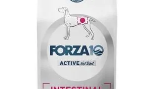 FORZA 10 Intestinal Active Sac hrana uscata pentru caine cu probleme digestive 10 kg