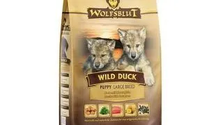 WOLFSBLUT Wild Duck Large Breed Puppy hrana catei rasa mara 12,5 kg cu rata