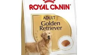Hrana Golden Retriever adult ROYAL CANIN 15 kg