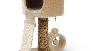 Ansamblu Pisici MIAU MIAU Condo