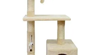 Ansamblu Pisici MIAU MIAU Home