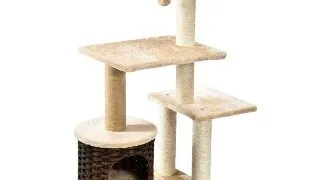 Ansamblu Pisici MIAU MIAU Kitty Play and Relax