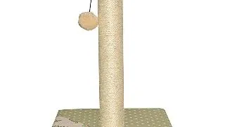 Ansamblu Pisici MIAU MIAU Scratch and Play 1