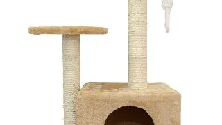 Ansamblu Pisici MIAU MIAU Twin