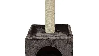 Ansamblu Pisici MIAU MIAU Box