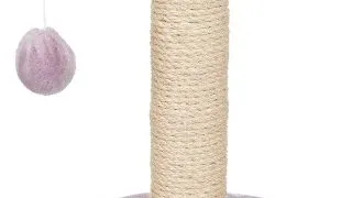 Ansamblu De Zgariat, Junior