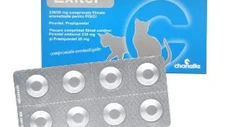 Exitel Pisica, 1 tableta