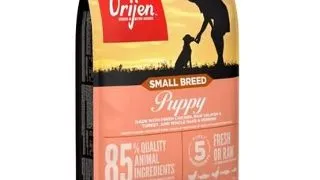 ORIJEN Small Breed Puppy 4,5 kg hrana caine junior rasa mica