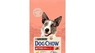 PURINA Dog Chow Active hrana uscata pentru caini activi, cu pui 14 kg