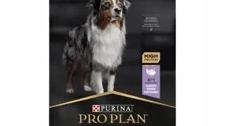 PURINA Pro Plan Grain Free Adult Medium Large Sensitive Digestion 12kg