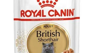 Royal Canin British Shorthair Adult hrana umeda pisica (in sos) 85g