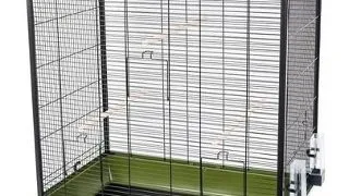 INTERZOO Nicola Cusca pentru pasari 78 cm verde