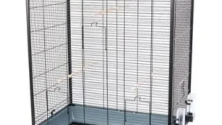 INTERZOO Nicola XL Colivie pasari 78 cm gri