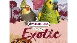 VERSELE-LAGA Exotic Light 750 g - amestec cereale prajite pentru papagali medii si mari