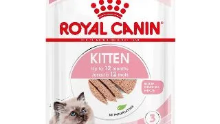 Royal Canin Kitten hrana umeda pisica junior (pate) 85g