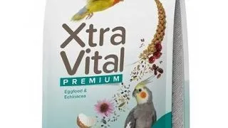 BEAPHAR XtraVital Large Parakeet 500 g hrana pentru papagalii mari