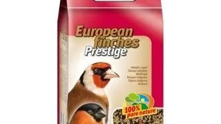 VERSELE-LAGA European Finches 20kg - mancare pentru cinteza europeana