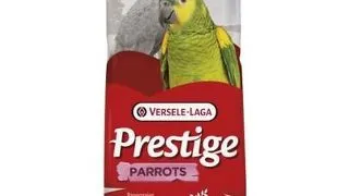 VERSELE-LAGA Prestige Parrots D hrana pentru papagali mari cu continut ridicat de floarea-soarelui 15 kg
