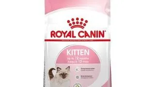 Royal Canin Kitten hrana uscata pisica junior 400 g
