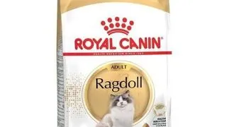 ROYAL CANIN Ragdoll adult 400 g