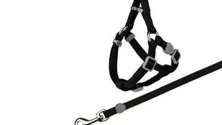 TRIXIE Ham cu lesa pentru pisici Premium 26-37 cm/10 mm