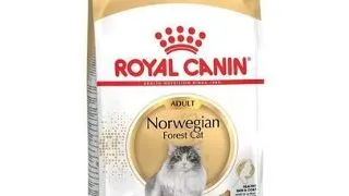 ROYAL CANIN Norvegian 2 kg