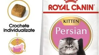 Royal Canin Persian Kitten hrana uscata pisica junior, 2 kg