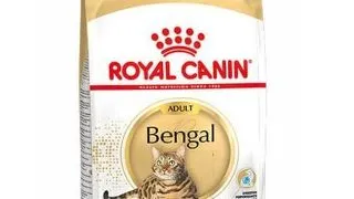 ROYAL CANIN Bengal Adult Hrana uscata pentru pisici din rasa Bengal 2 kg