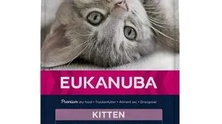 EUKANUBA Cat Kitten All Breeds Healthy Start Chicken &amp; Liver Hrana uscata pentru pisici junior, cu pui si ficat 10 kg