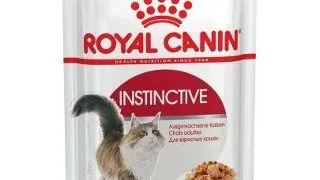 Royal Canin Instinctive In Jelly Adult hrana umeda in aspic pentru pisica, 12 x 85 g