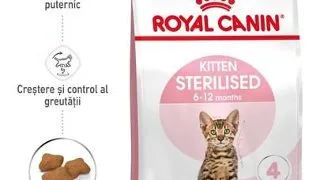 Royal Canin Kitten Sterilised hrana uscata pentru pisicute sterilizate cu varsta cuprinsa intre 4 si 12 luni 3.5 kg