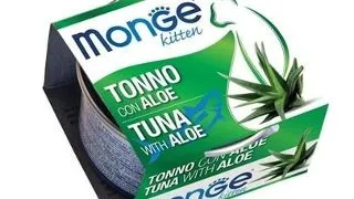 MONGE Fruit Kitten hrana pentru pisoi, cu ton si aloe 80 g