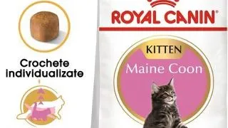 ROYAL CANIN Maine Coon Kitten hrana uscata pentru pisoi Maine Coon pana la varsta de 15 luni 20 kg (2 x 10 kg)