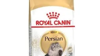 ROYAL CANIN Persian Adult 20 kg (2 x 10 kg) hrana uscata pentru pisici persane adulte