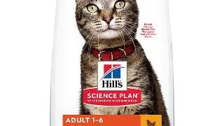 Hrana uscata pisici, Hill's SP Feline Adult Chicken 1.5 kg 1.5kg