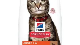 Hrana uscata pisici, Hill's SP Feline Adult Lamb and Rice 1.5 kg 1.5kg