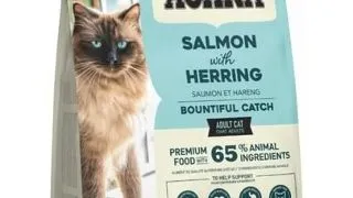 ACANA Bountiful Catch Cat Hrana uscata pisici adulte, cu somon 1,8 kg