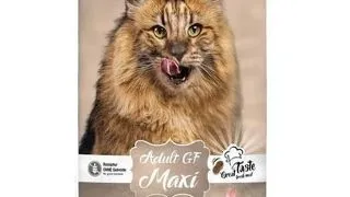 LEONARDO Adult Maxi GF hrana uscata pisici adulte rase mari, cu pui 15 kg