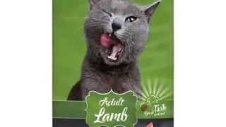 LEONARDO Adult Lamb &amp; Rice hrana uscata pisici adulte, miel si orez 15 kg