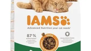 IAMS for Vitality Hrana uscata pentru pisici adulte, cu miel 10 kg