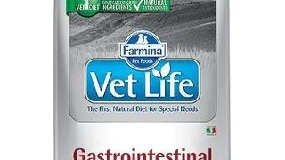 FARMINA Vet Life Cat Gastro Intestinal  Hrana uscata pentru pisici adulte cu tulburari gastrointestinale si pancreatice 10 kg