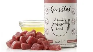 GUSSTO Cat Fresh Beef CARNE PROASPATA DE VITA 400 g